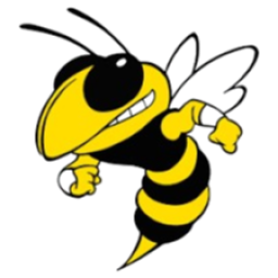 Fairview Yellow Jackets (Fairview, TN)