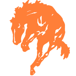 Frenchtown Broncs (Frenchtown, MT)