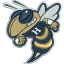 Hapeville Charter Hornets (Atlanta, GA)