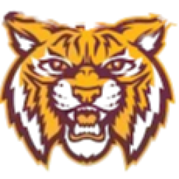 Melrose Golden Wildcats (Memphis, TN)