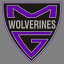 Miller Grove Wolverines (Lithonia, GA)